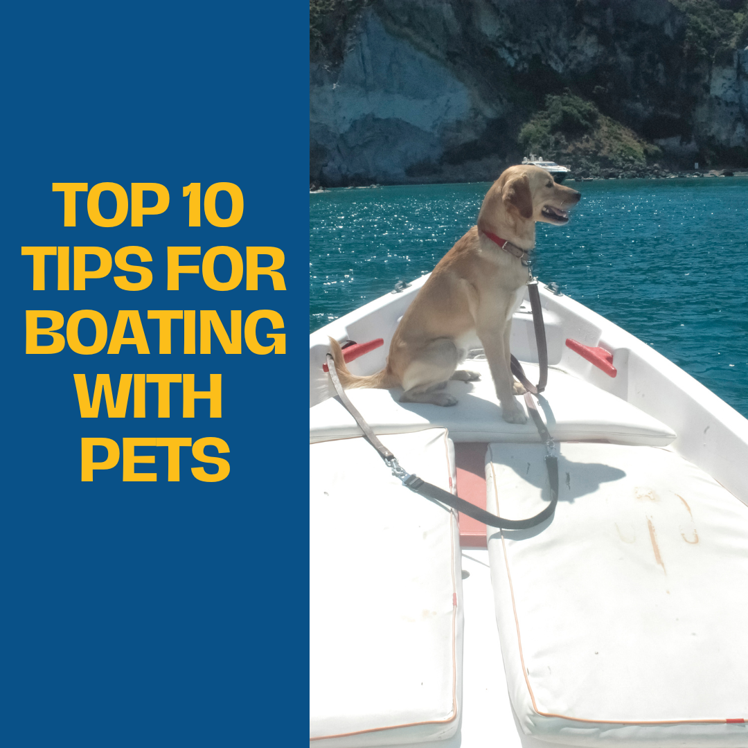 ALT Boating Tips with Pets